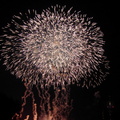 Japantag 2007-06 10 Feuerwerk